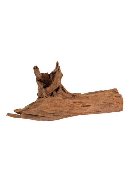 Large 30-40cm Akudim Trærødder Til Akvarier Mangrove Træ - Akudim Akvarie  - 5707213150045